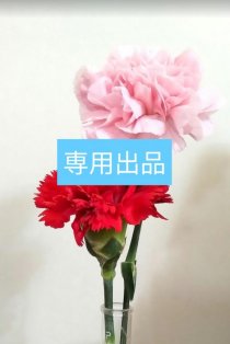 【ゆゆゆ様専用】リクエスト出品